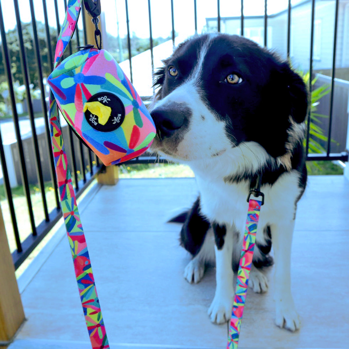 RO x Lordy Dordie Daisy Dog Leash (3 Sizes)