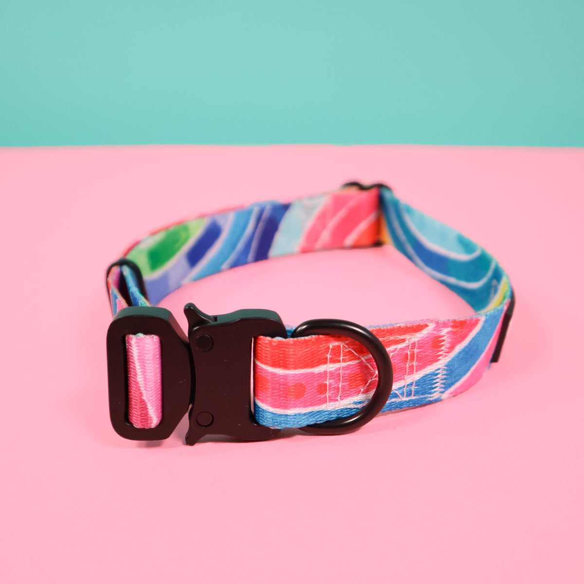 RO x Lordy Dordie Rainbow Dog Collar (3 Sizes)