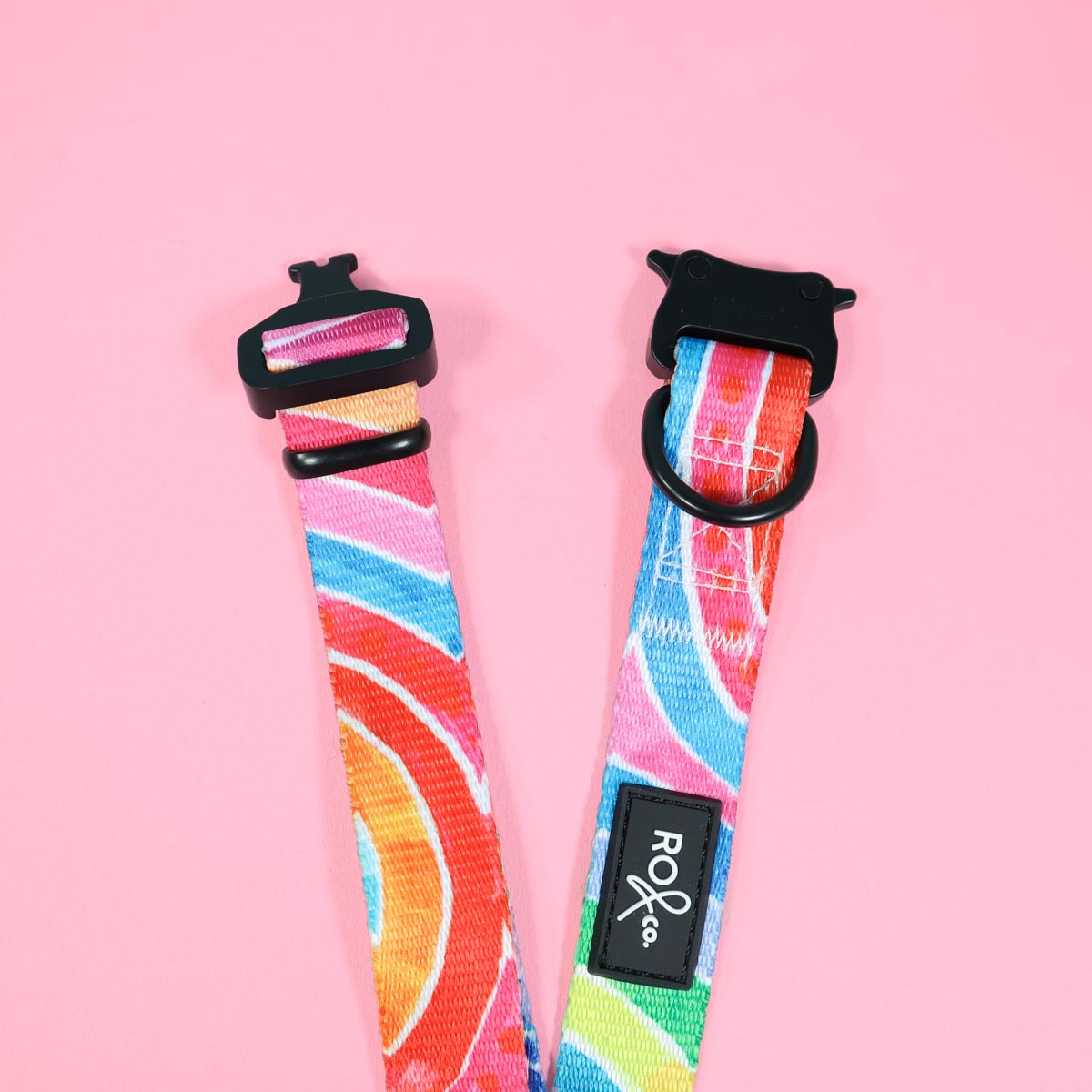 RO x Lordy Dordie Rainbow Dog Collar (3 Sizes)