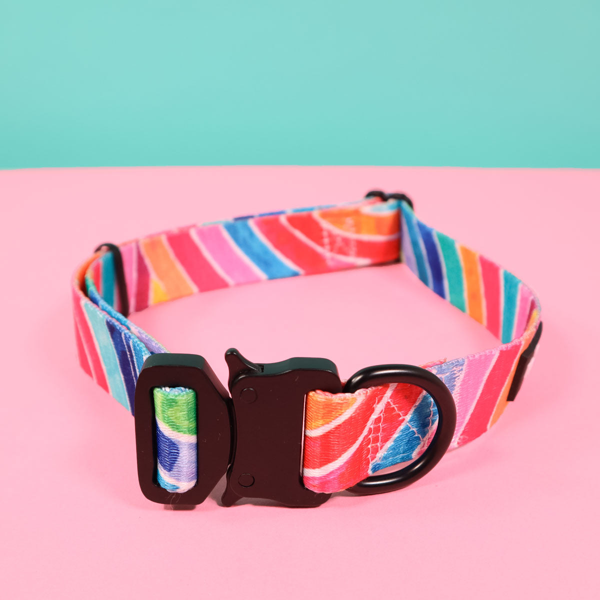 RO x Lordy Dordie Rainbow Dog Collar (3 Sizes)