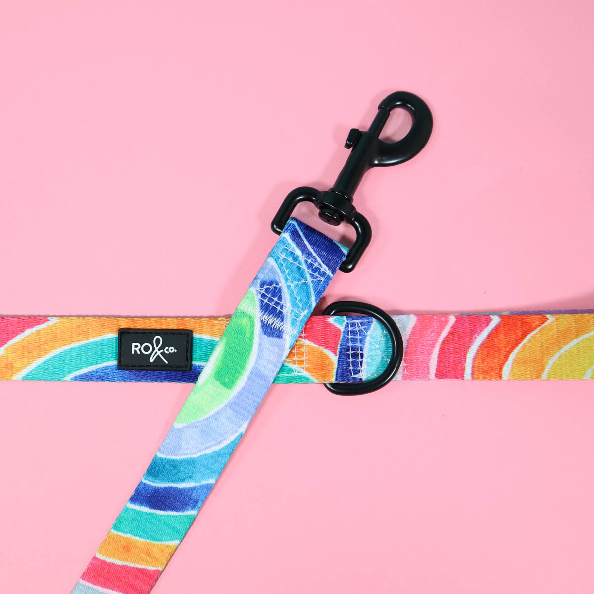 RO x Lordy Dordie Rainbow Dog Leash (3 Sizes)