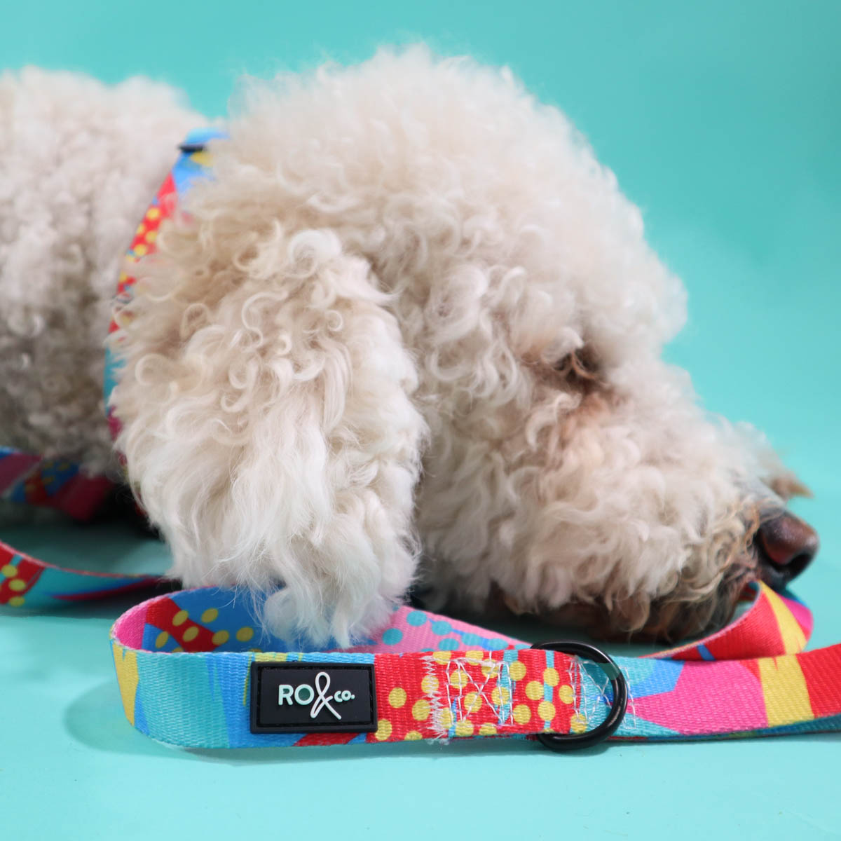 Dahlia Dog Leash (3 Sizes)