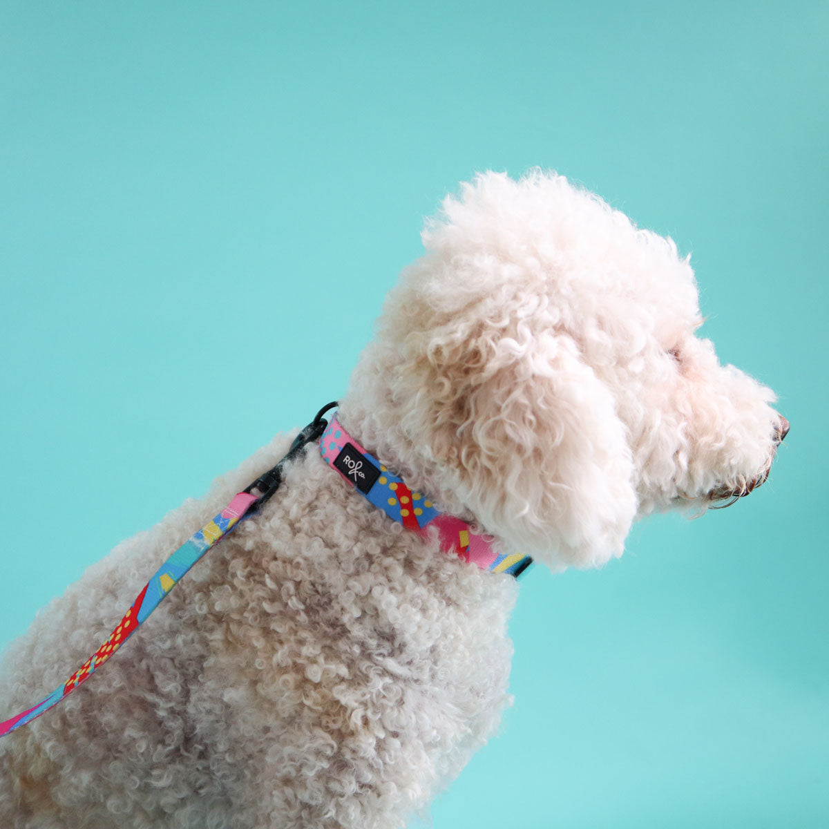 Dahlia Dog Collar (3 Sizes)