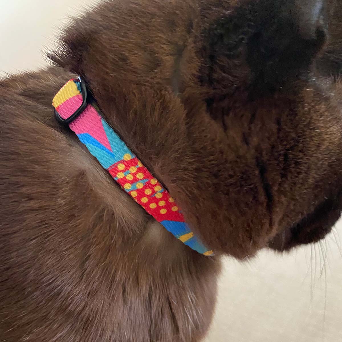 Dahlia Cat Collar