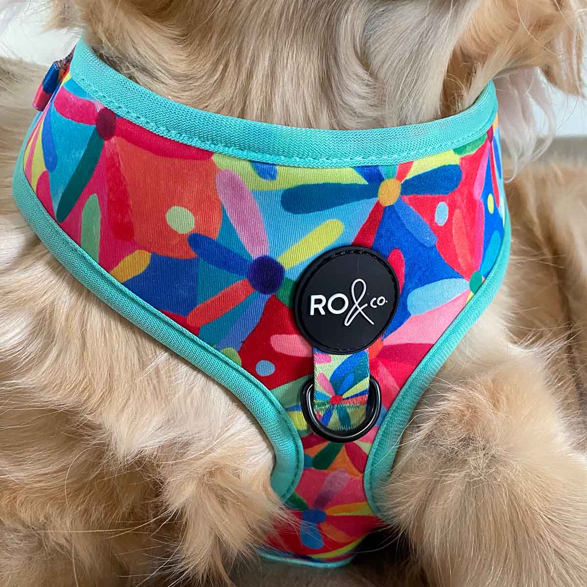 RO x Lordie Dordy Daisy Dog Harness (Lg Only)