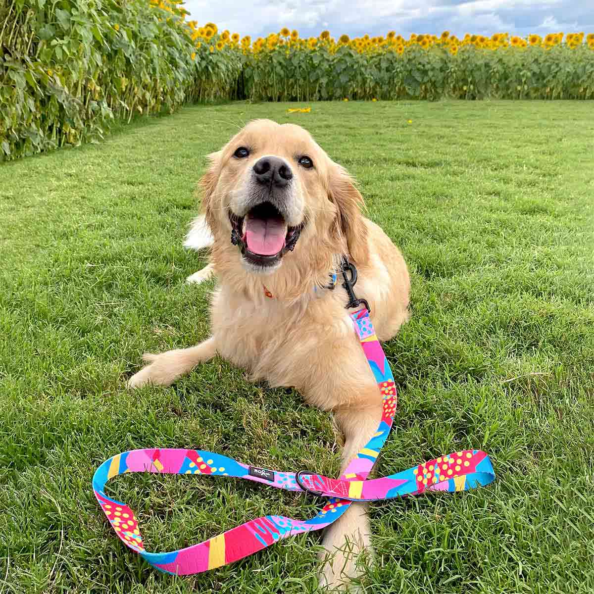 Dahlia Dog Leash (3 Sizes)