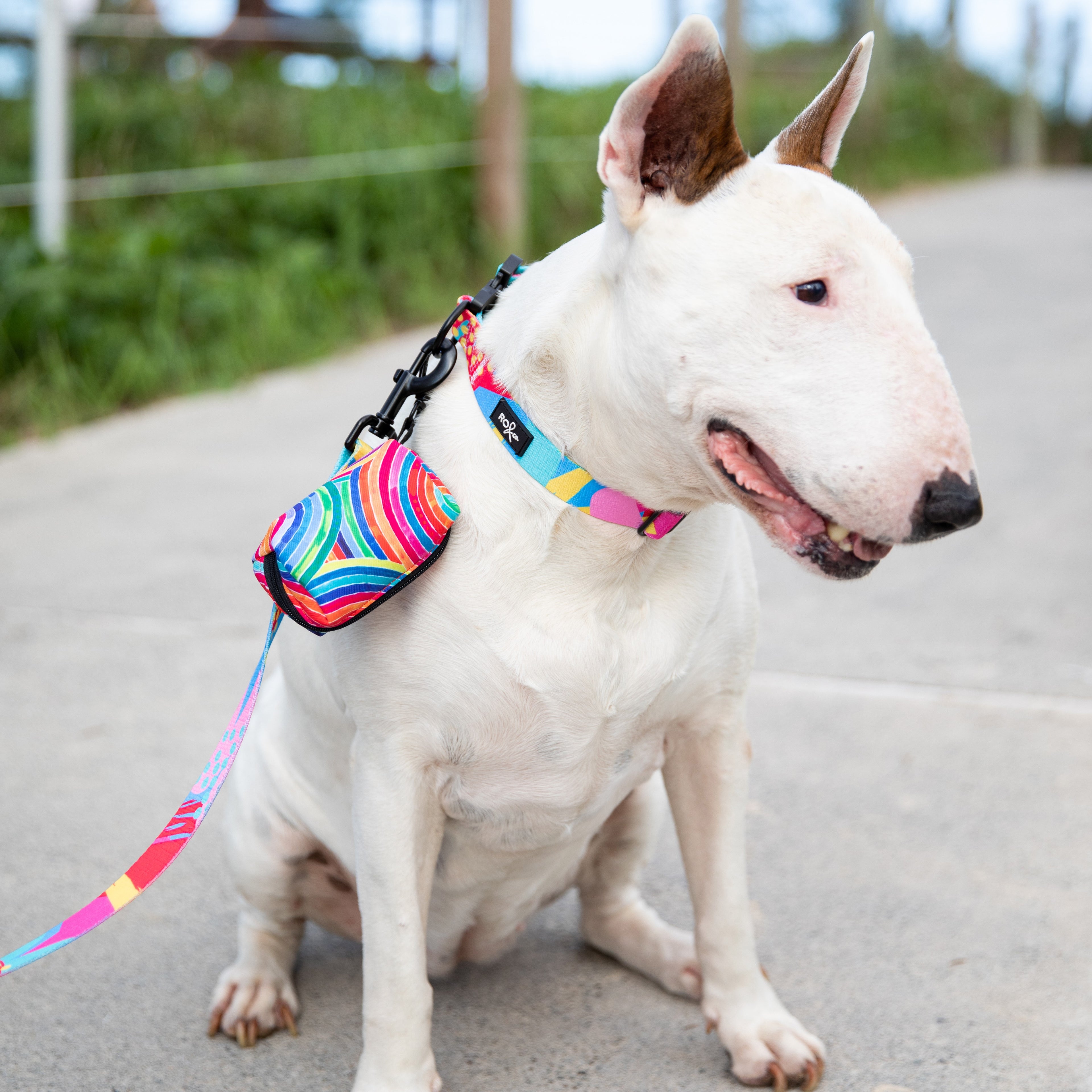 RO x Lordy Dordie Rainbow Pawfect Waste Bag Holder