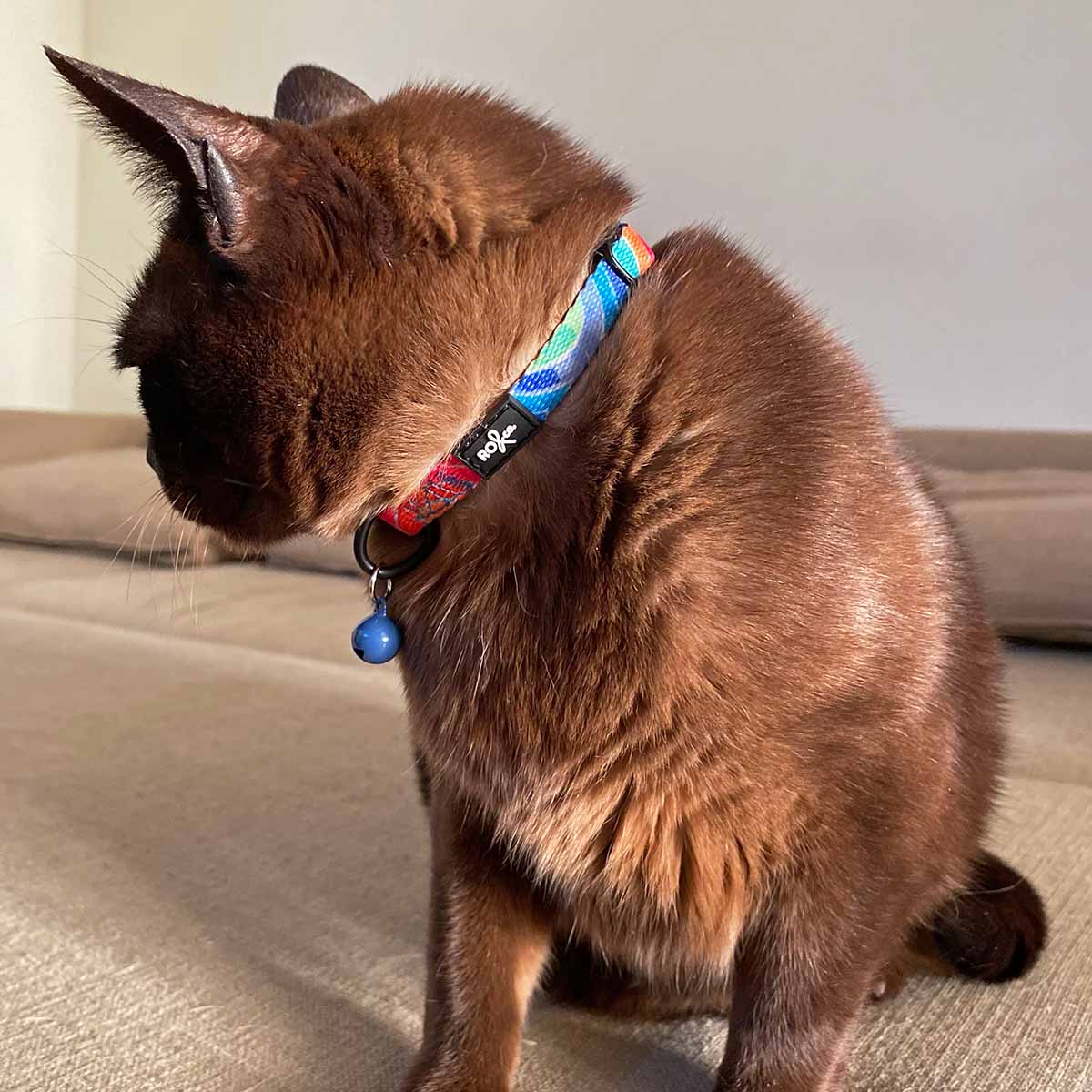 RO x Lordy Dordie Rainbow Cat Collar