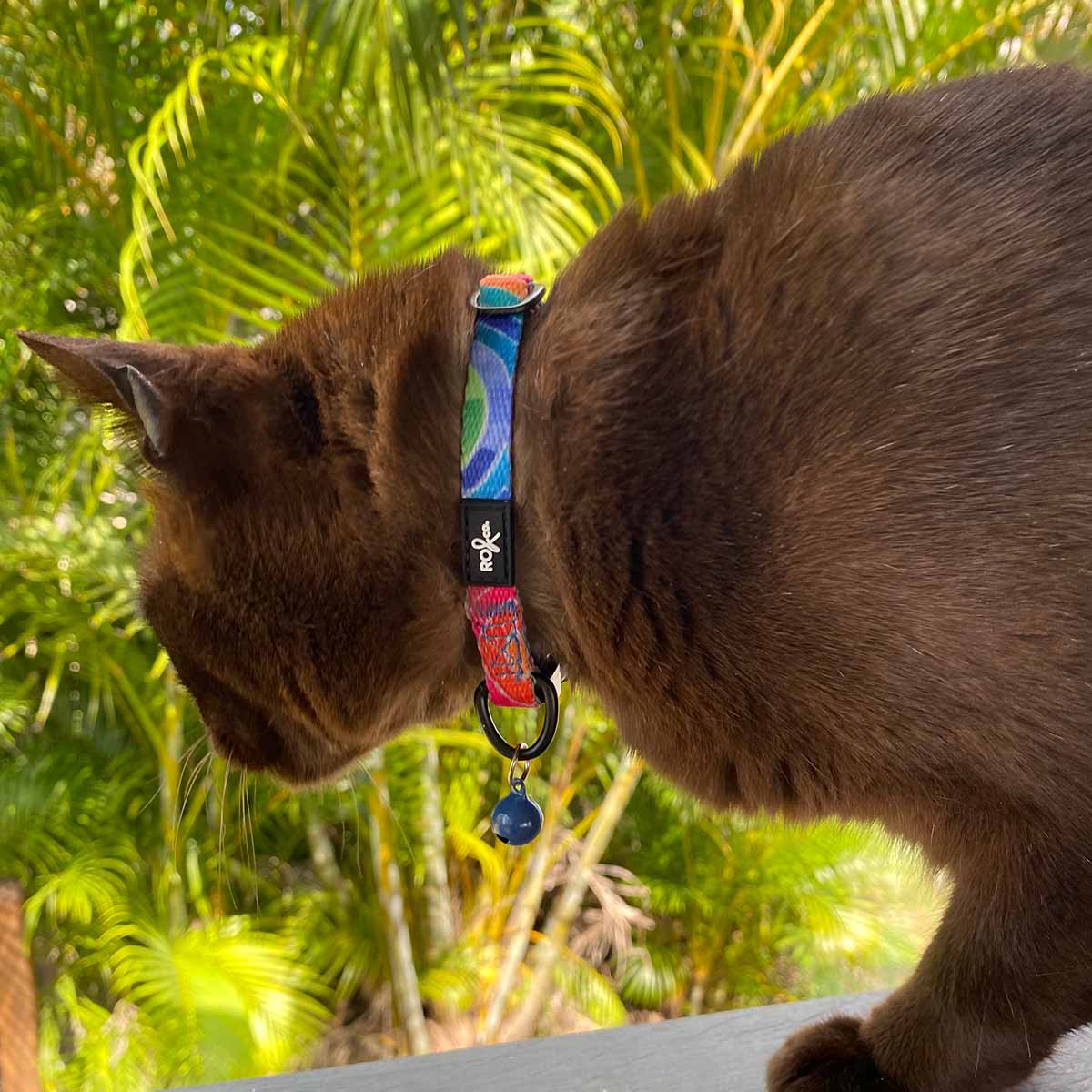 RO x Lordy Dordie Rainbow Cat Collar