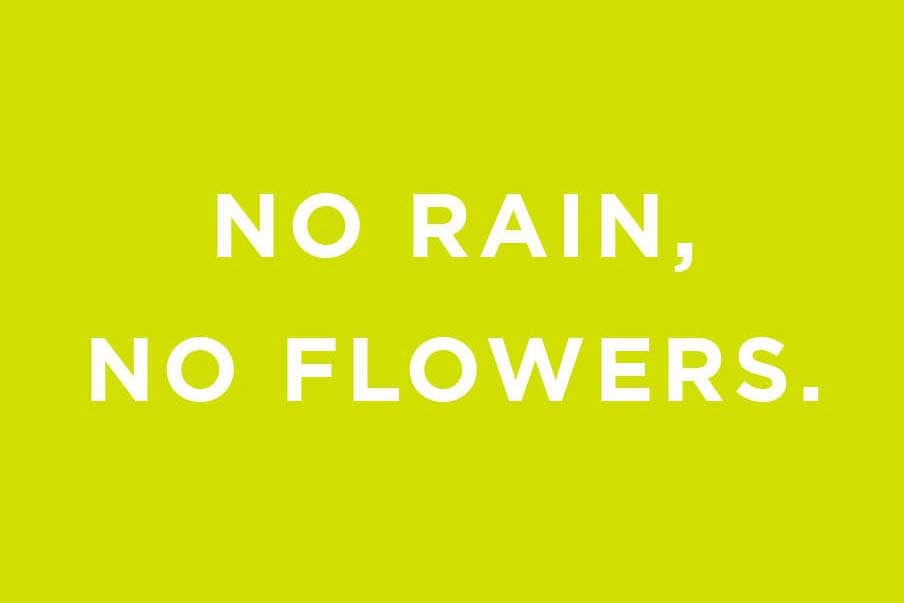 QUOTE // No rain, no flowers!