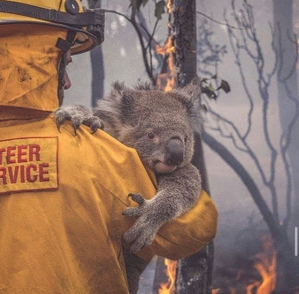 Australian Bush Fire Emergency // We're now a Drop Off Hub