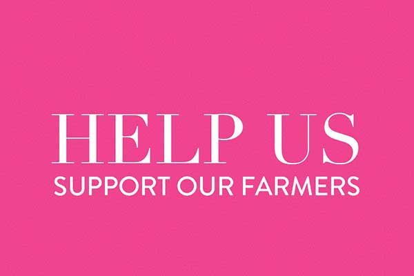 NOTE FROM SKYE // Supporting our community! - Ruby Olive