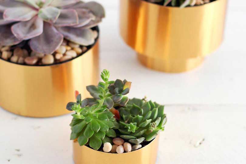 RO DIY // Three ways to plant succulents! - Ruby Olive