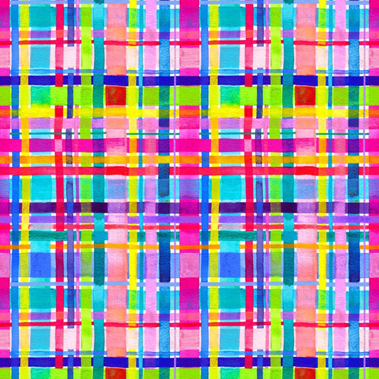 Rainbow Gingham