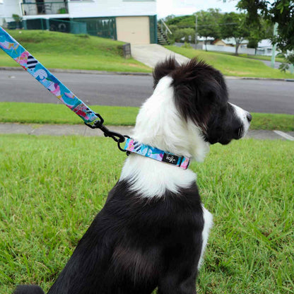 Mighty Jungle Dog Leash - PERFECTLY IMPERFECT