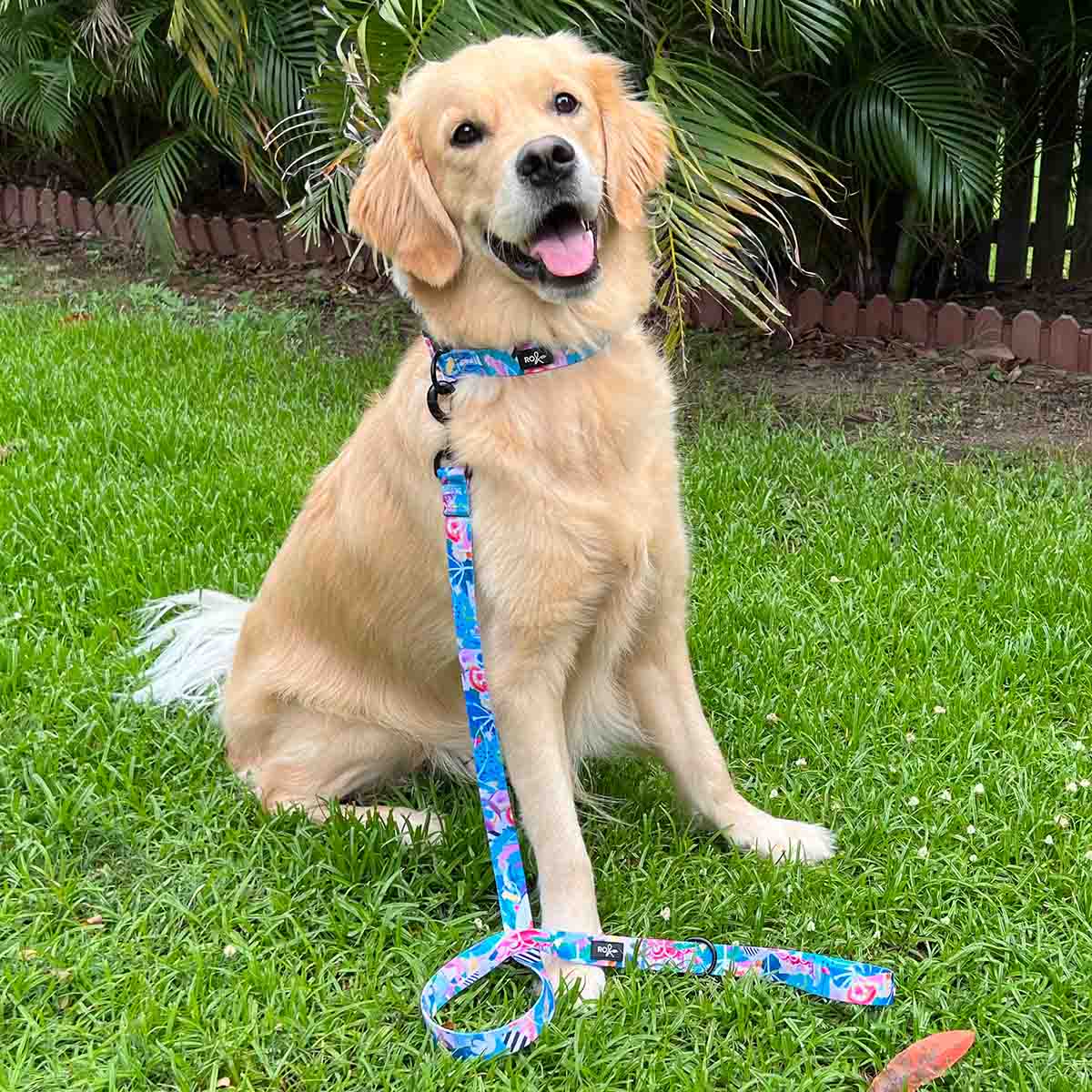 Mighty Jungle Dog Leash - PERFECTLY IMPERFECT