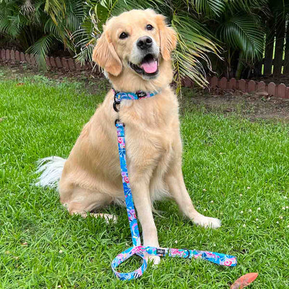 Mighty Jungle Dog Leash - PERFECTLY IMPERFECT