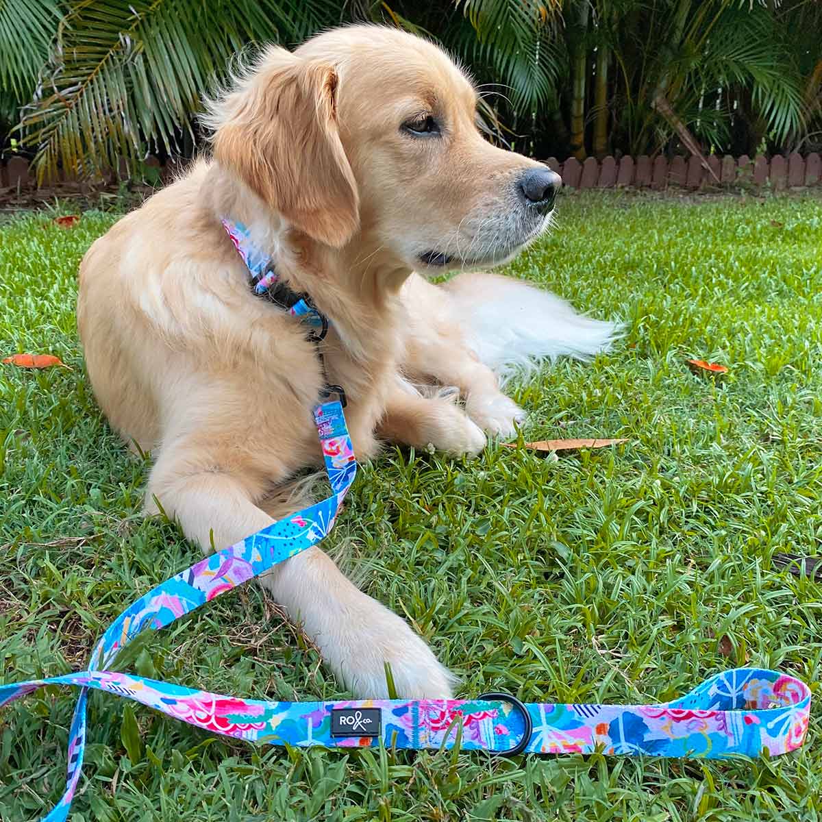 Mighty Jungle Dog Leash - PERFECTLY IMPERFECT