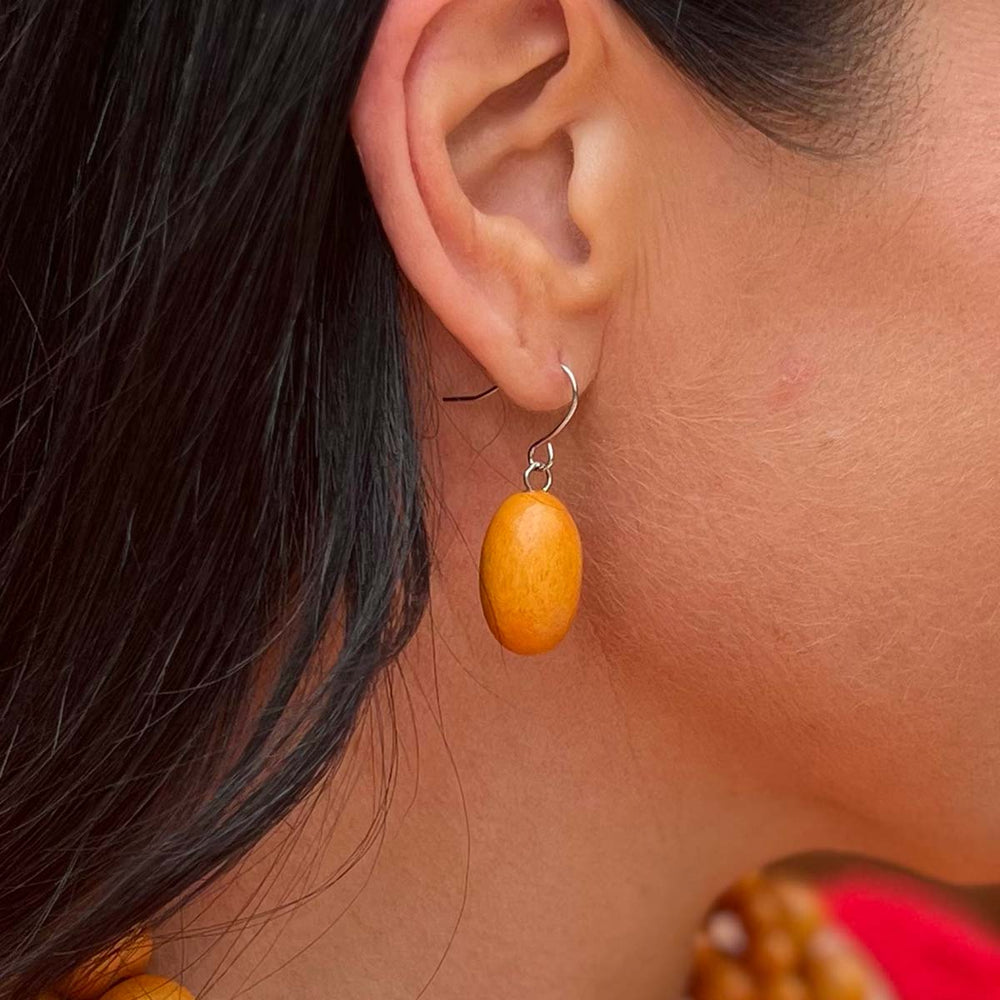 Colour Me Happy Drop Earring (10 Colours)
