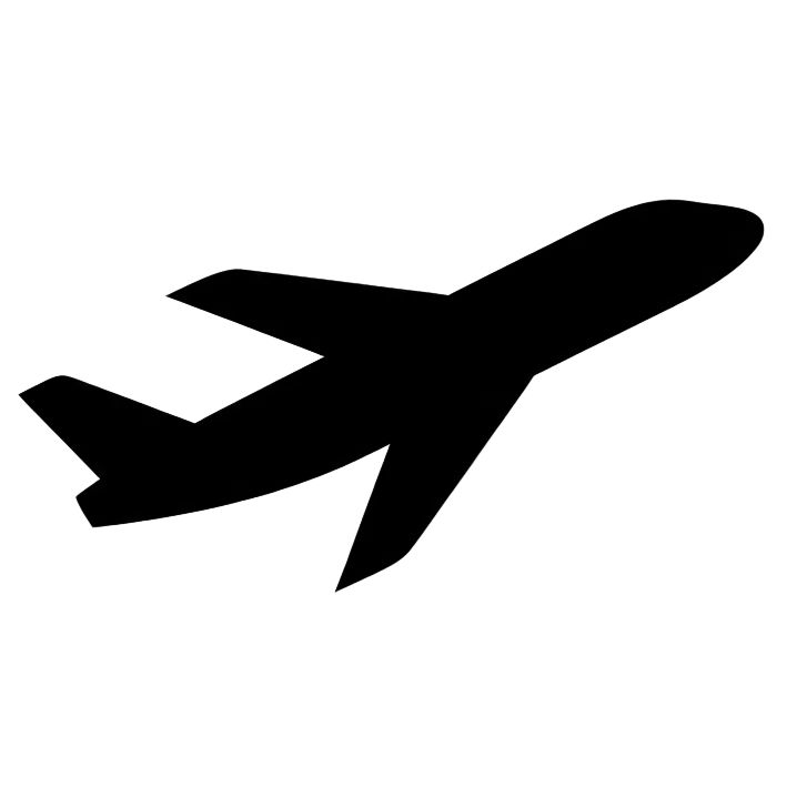 Black airplane silhouette on a transparent background