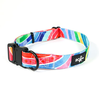 RO x Lordy Dordie Rainbow Dog Collar (3 Sizes)