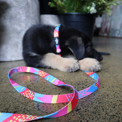 Dahlia Dog Collar (3 Sizes)