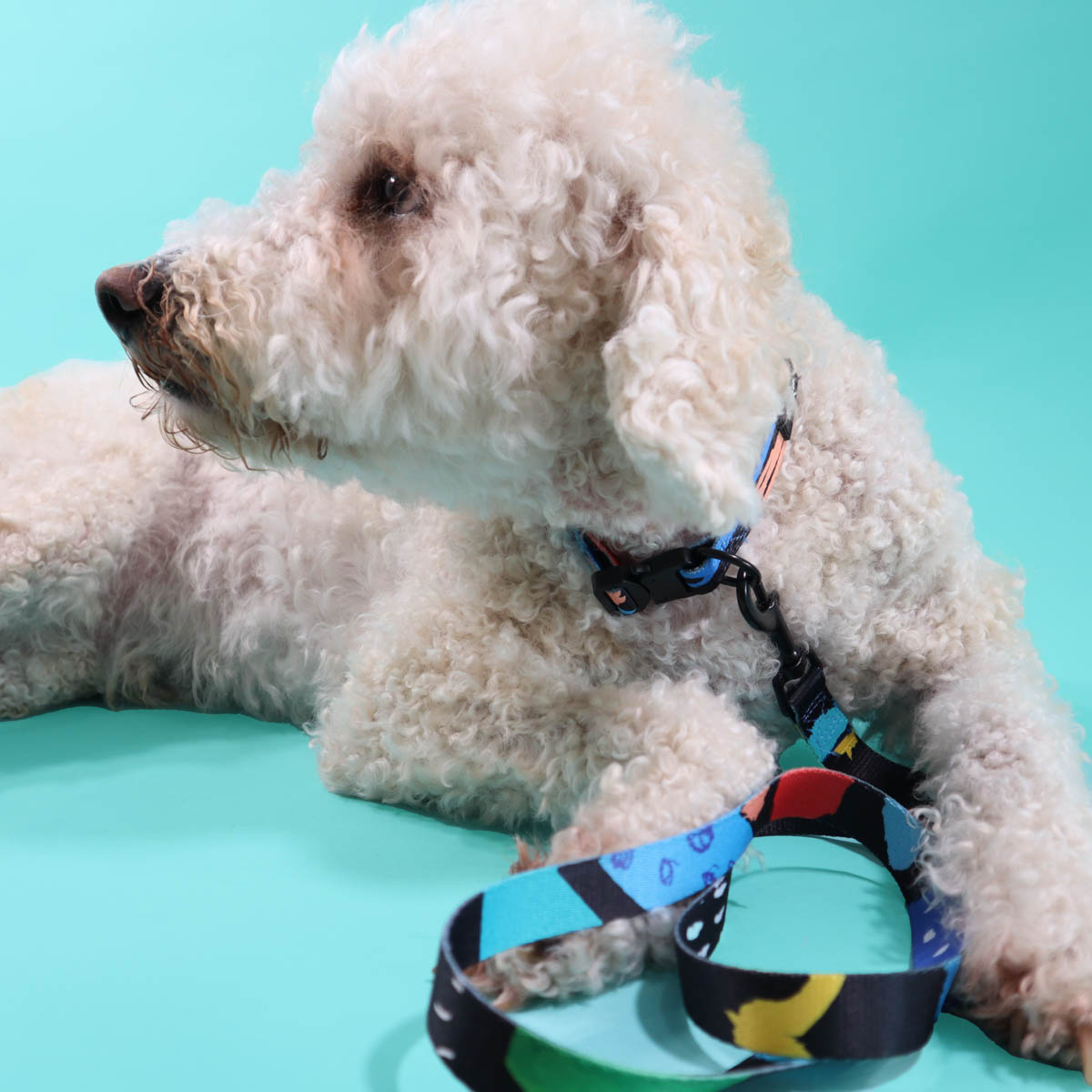 Licorice Dog Leash (Med &amp; Lg Only)