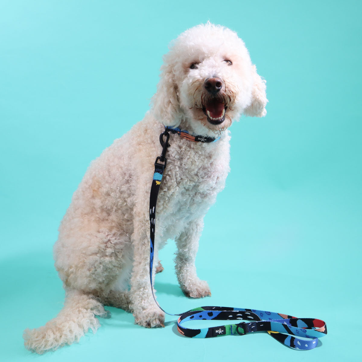 Licorice Dog Leash (3 Sizes)