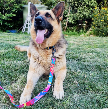 Dahlia Dog Collar (3 Sizes)